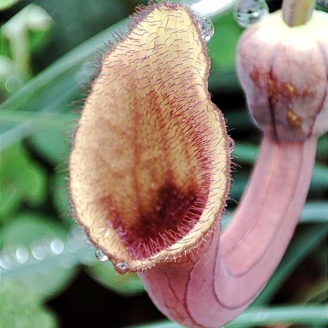 Прогнозы погоды с чудесными фотографиями, сделанными Antonio Javier Guerra Lucena