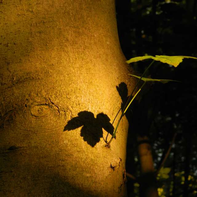 Hình ảnh Thời tiết ở Thế giới. Dự báo thời tiết với những bức ảnh đẹp của DarekCho