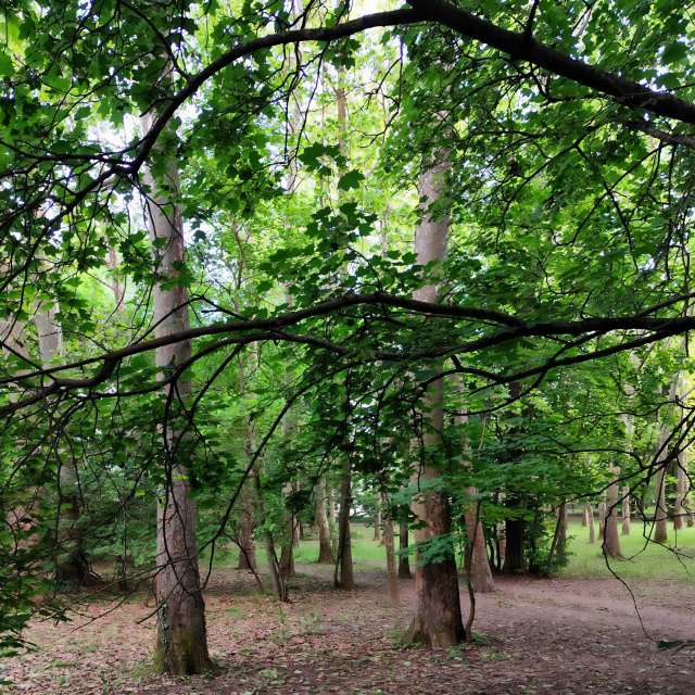 sloaraiの美しい写真による天気予報