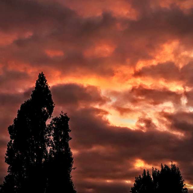 Background. Weather forecasts with beautiful photos by Wiesiek Photos in Gdansk