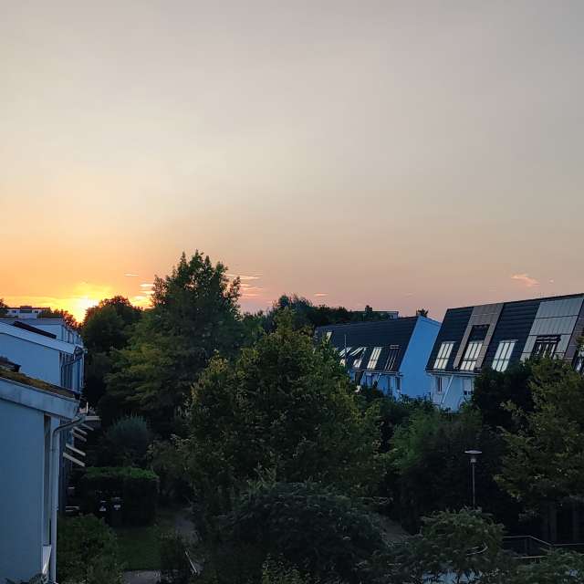 Green. Weather forecasts with beautiful photos by Tercis Photos in Ettlingen