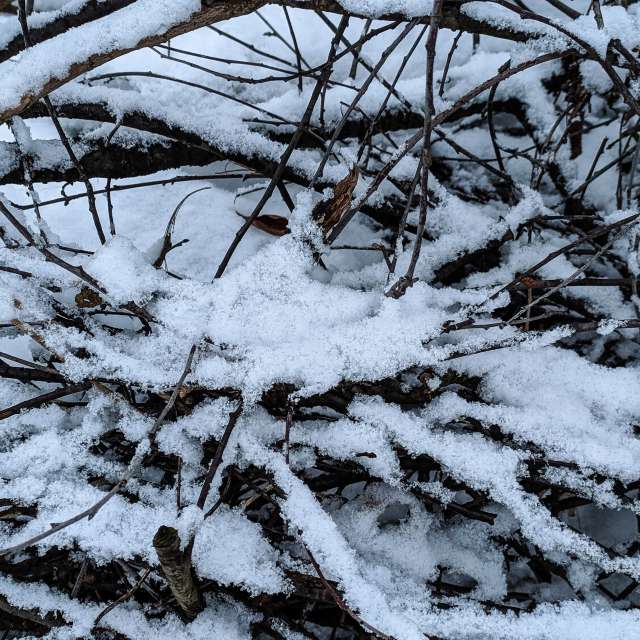 天气预报，带aastrelkova精美的照片