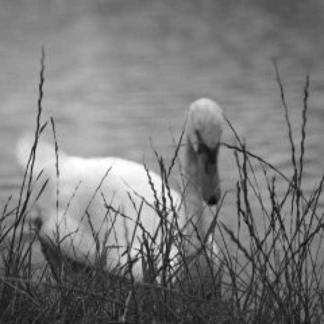 Прогнозы погоды с чудесными фотографиями, сделанными derlops