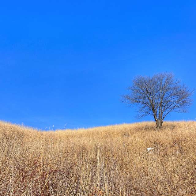 Прогнозы погоды с чудесными фотографиями, сделанными Kasumisou