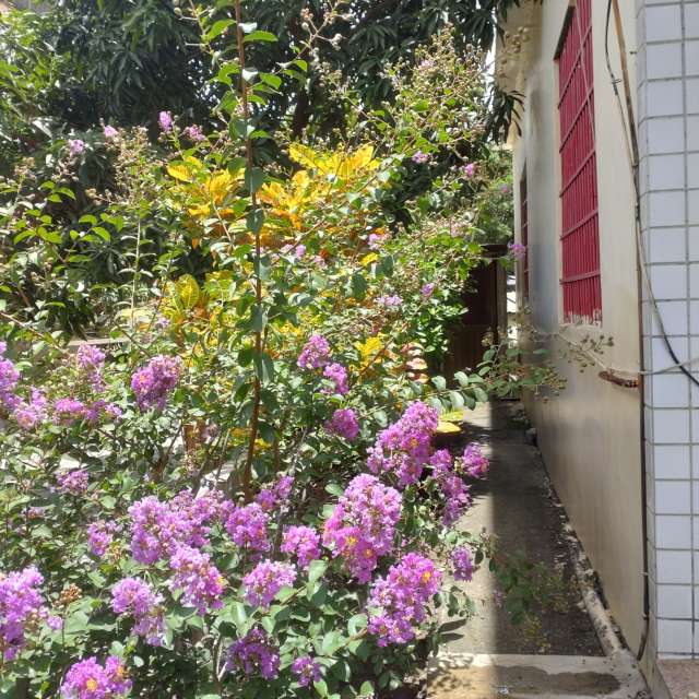 Photos Banc.banc. Prévisions météo avec de superbes photos de Wen-ya Huang de Kaohsiung