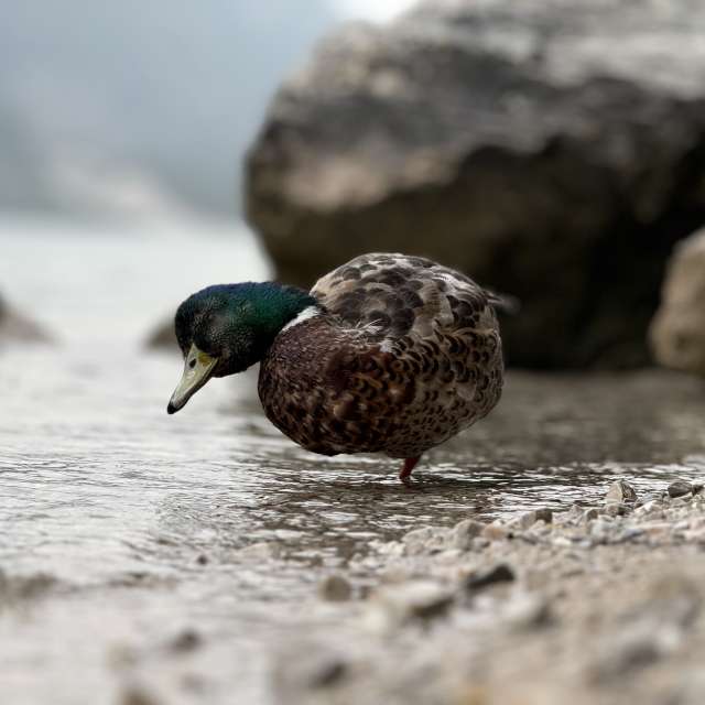 Prévisions météo avec de superbes photos de MrBlack