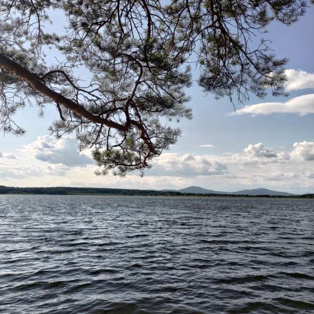 天气预报，带Lara357精美的照片