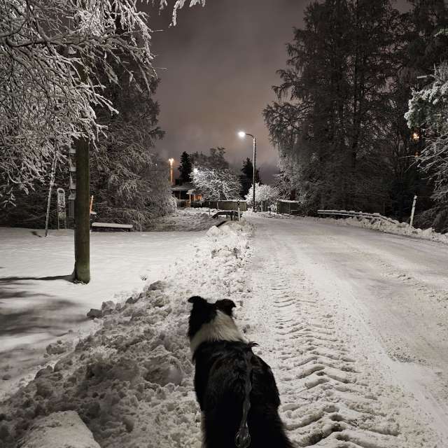 Previsões do tempo com lindas fotos de Piia