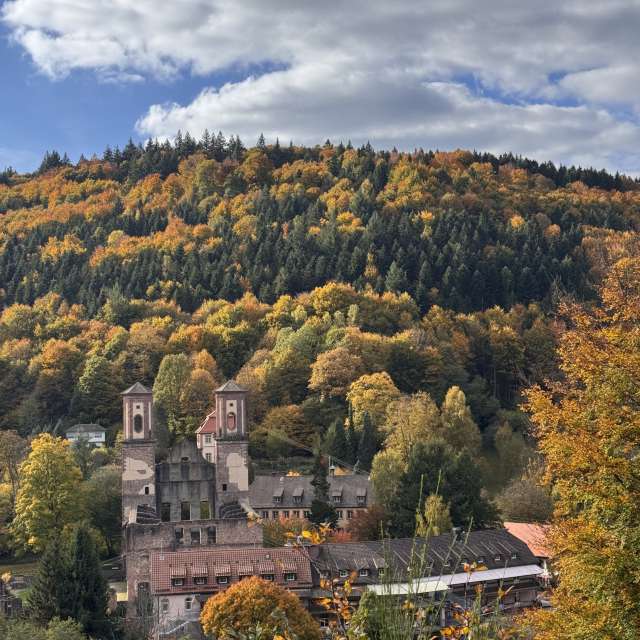 Weather forecasts with beautiful photos by DocHolliday987