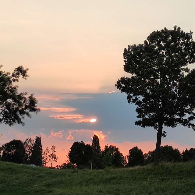 Weide. Wettervorhersagen mit schönen Fotos von Kripo Fotos Niederösterreich