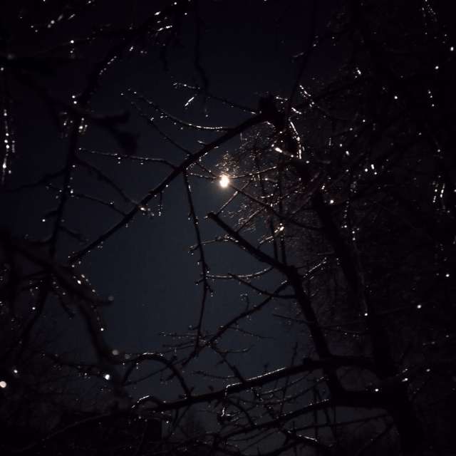 Weather forecasts with beautiful photos by mikhai