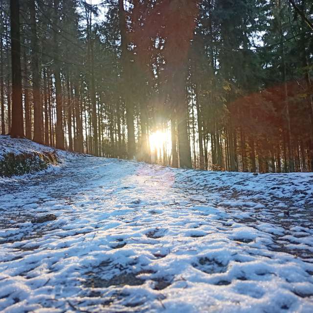 Photos Grand. Prévisions météo avec de superbes photos de Anna Raková de Kamenický Šenov