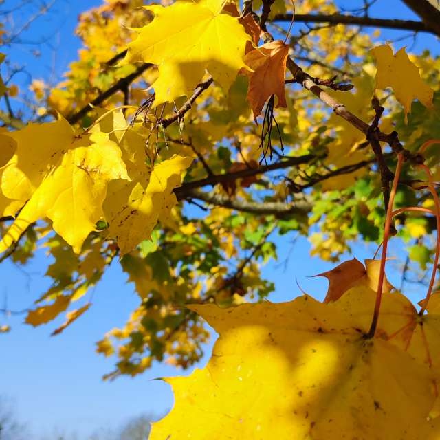 Food. Weather forecasts with beautiful photos by Tercis Photos in Ettlingen