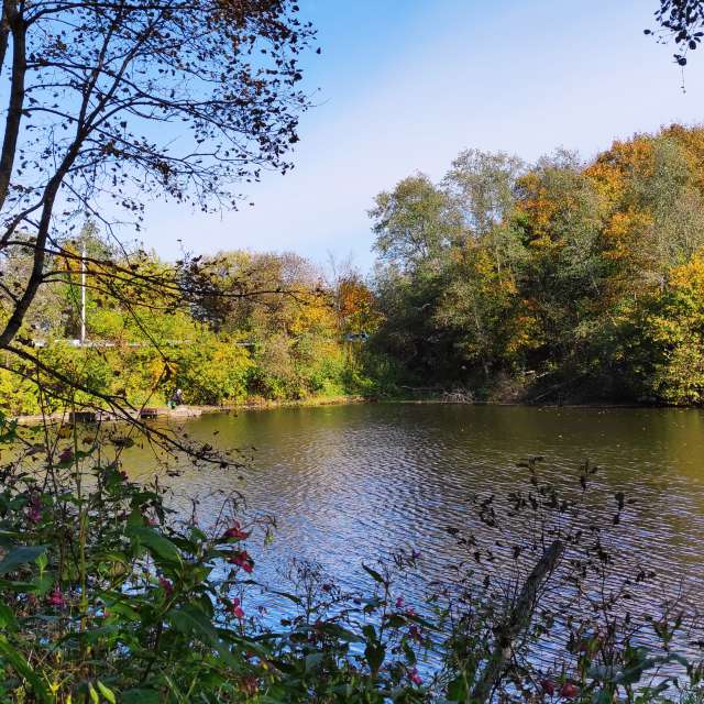 Pond. Weather forecasts with beautiful photos by Viktorija_K Photos in Lithuania