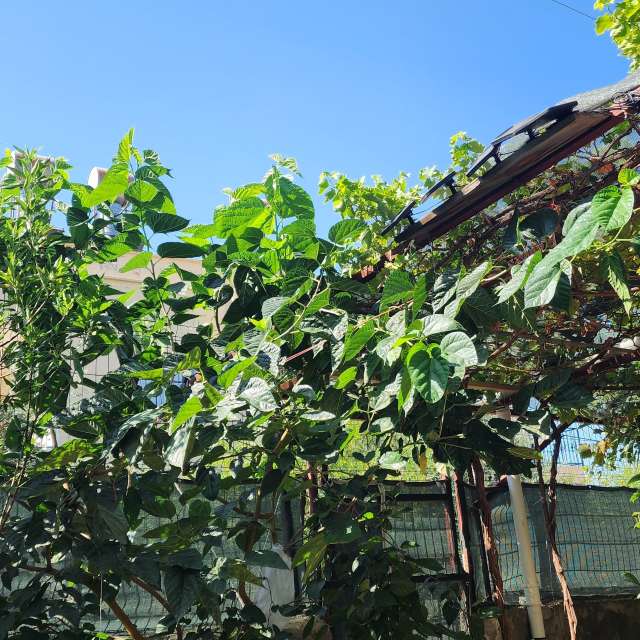 Vagcaの美しい写真による天気予報