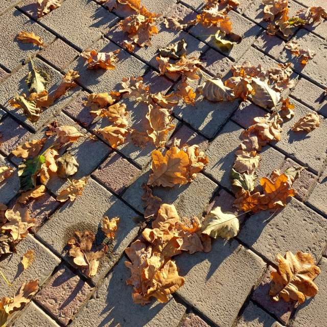 Lie. Weather forecasts with beautiful photos by Iryna Photos in Kharkiv