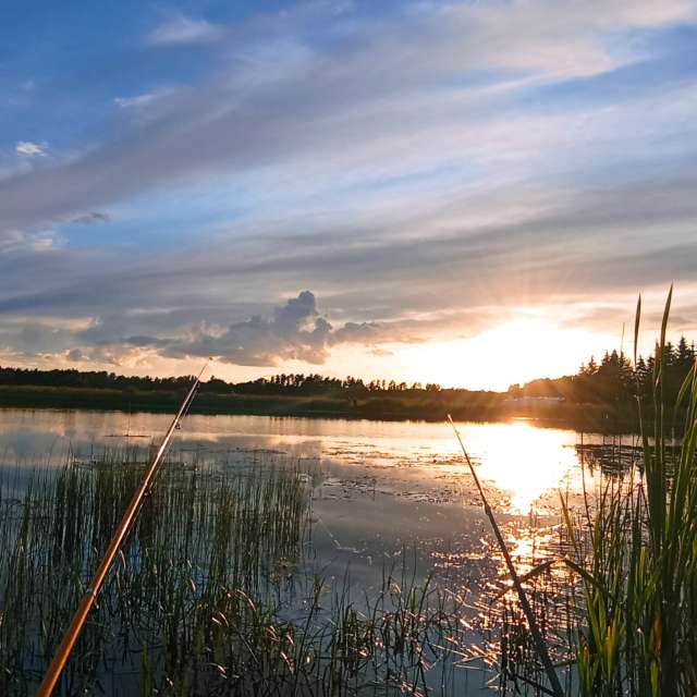 Landscape. Wettervorhersagen mit schönen Fotos von Valiukas Fotos Litauen