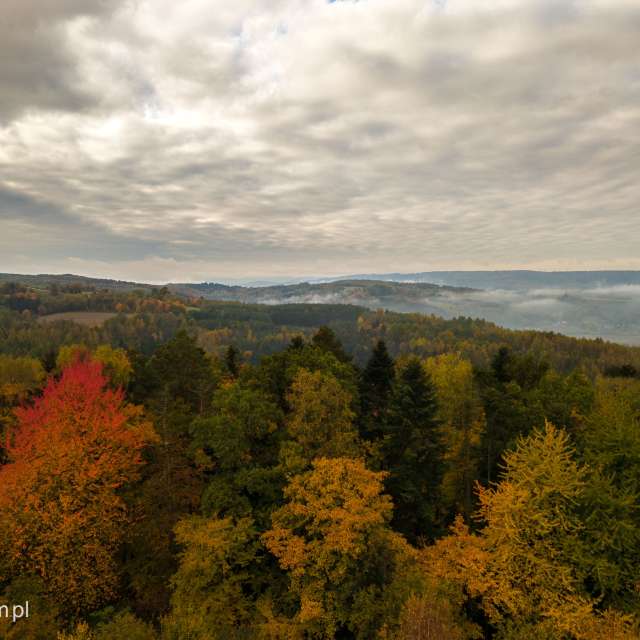 Grassy. Weather forecasts with beautiful photos by KAMP Photos in World