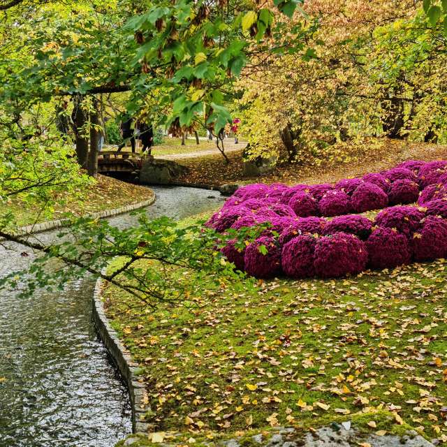 NASTIAの美しい写真による天気予報