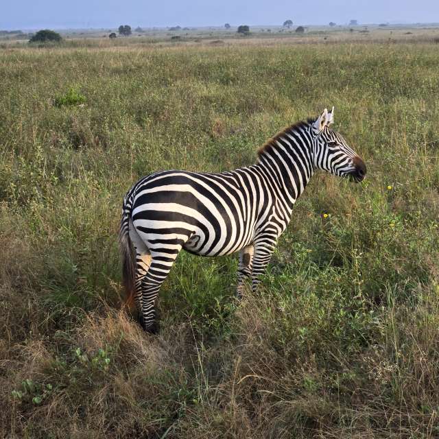 Pronósticos del tiempo con hermosas fotos de Birdy25