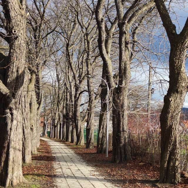 Bereich. Wettervorhersagen mit schönen Fotos von Kripo Fotos Ladek Zdroj