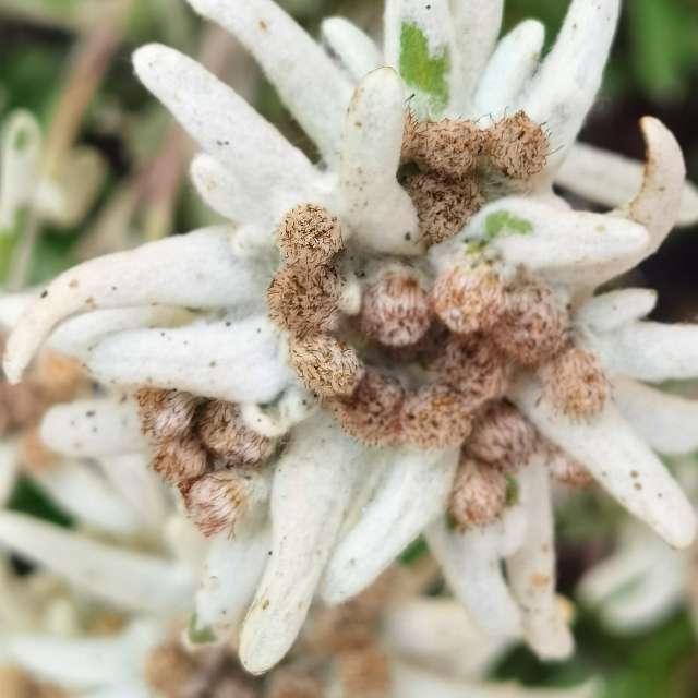 Pronósticos del tiempo con hermosas fotos de Liceul Industrial Busteni