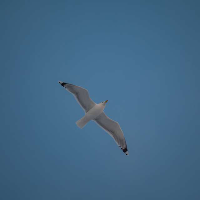 Previsões do tempo com lindas fotos de ooee