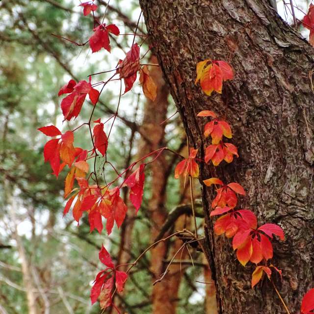 Holding. Weather forecasts with beautiful photos by Михаил Гавриков Photos in Kharkiv