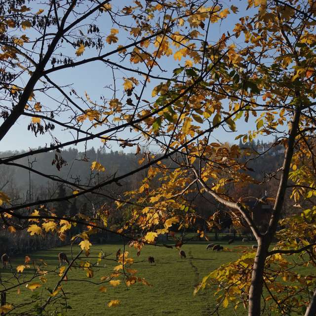 Braník的Weather. 天气预报，带Vasek325精美的照片照片