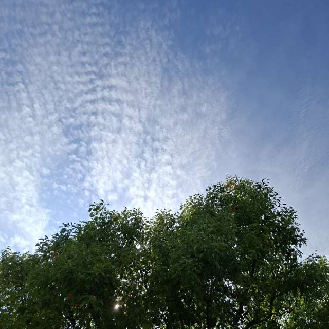 Fotos Jovem. Previsões do tempo com lindas fotos de Wen-ya Huang em Kaohsiung City