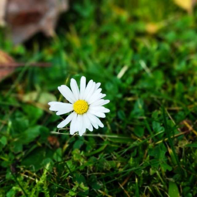 天气预报，带Helo_Sam精美的照片