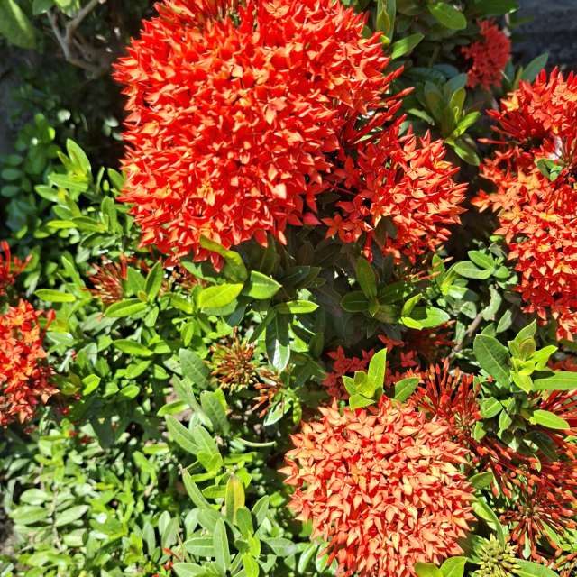 Many. Weather forecasts with beautiful photos by Wen-ya Huang Photos in Kaohsiung City