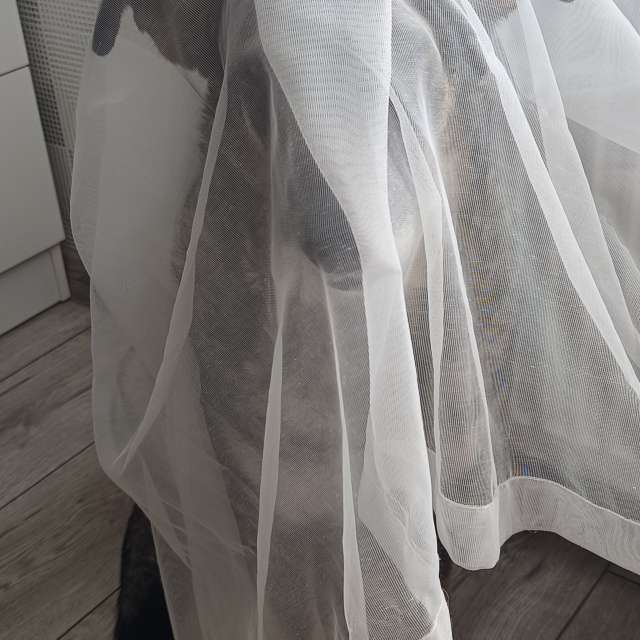 天气预报，带Michael_1969精美的照片