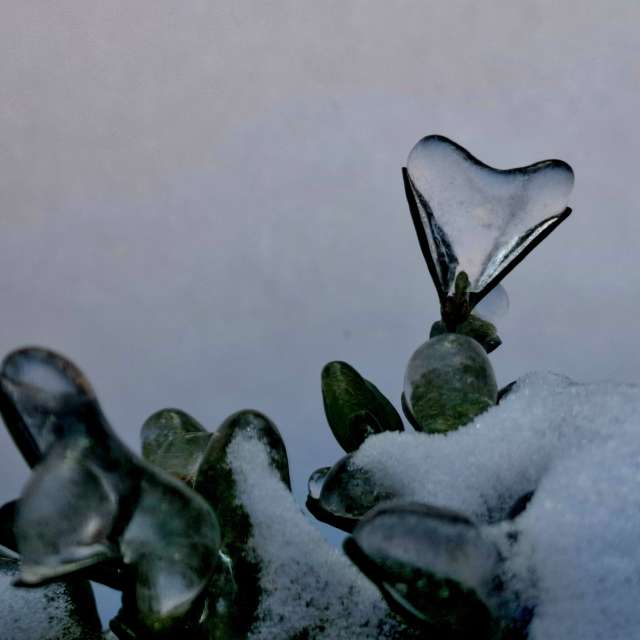 Weather forecasts with beautiful photos by Iryna