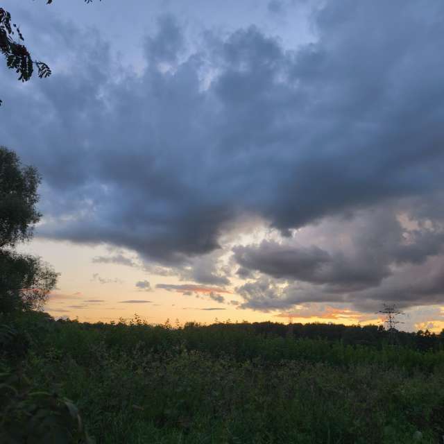 GREENE. Weather forecasts with beautiful photos by Amanda_and_Valdemar_Che Photos in Izmaylovo District