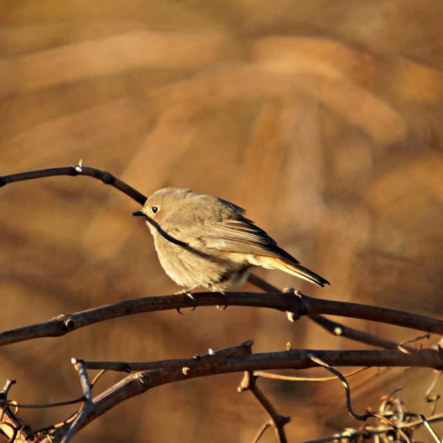 Open. Weather forecasts with beautiful photos by tony5636 Photos in Calvisson