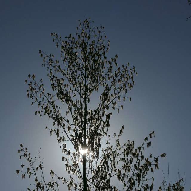 Fotos Obloha. Previsões do tempo com lindas fotos de Vasek325 em Praha 4