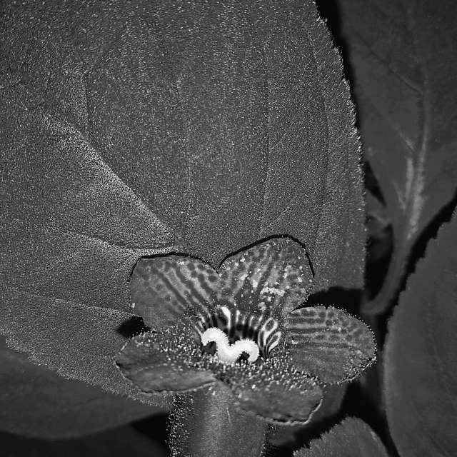 Wettervorhersagen mit schönen Fotos von Yurik