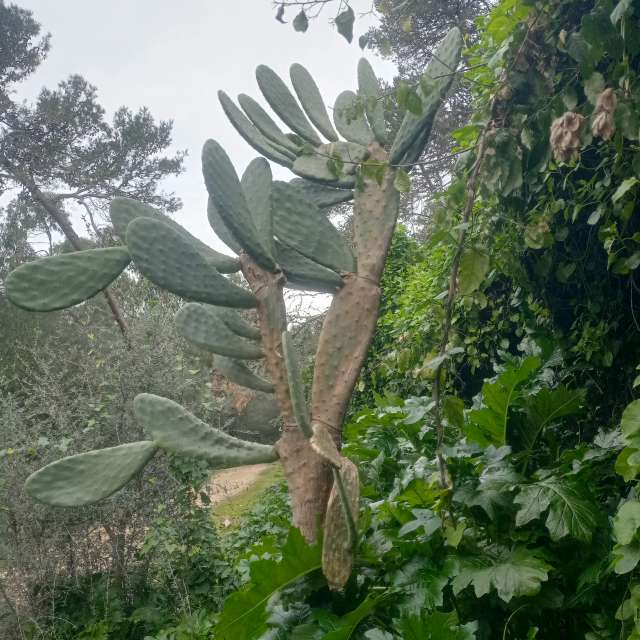 Zoo. Weather forecasts with beautiful photos by Joaquim Fonseca Photos in World