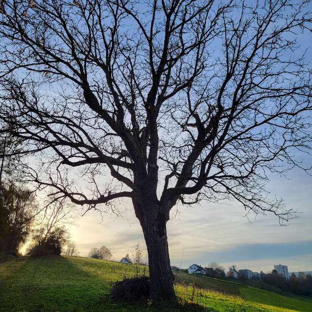 Weather forecasts with beautiful photos by aida-khaldi