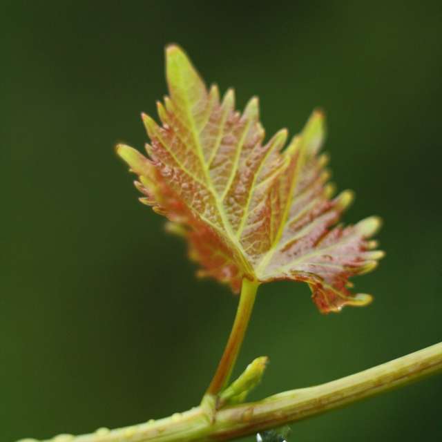 Weather. Weather forecasts with beautiful photos by tony5636 Photos in Calvisson