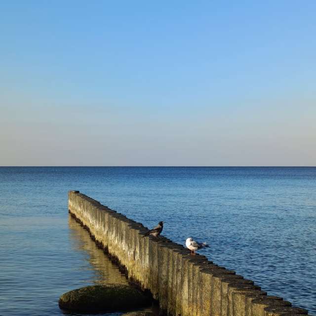 Fotos Navio. Previsões do tempo com lindas fotos de Михаил Бондаренко em Pionerskiy