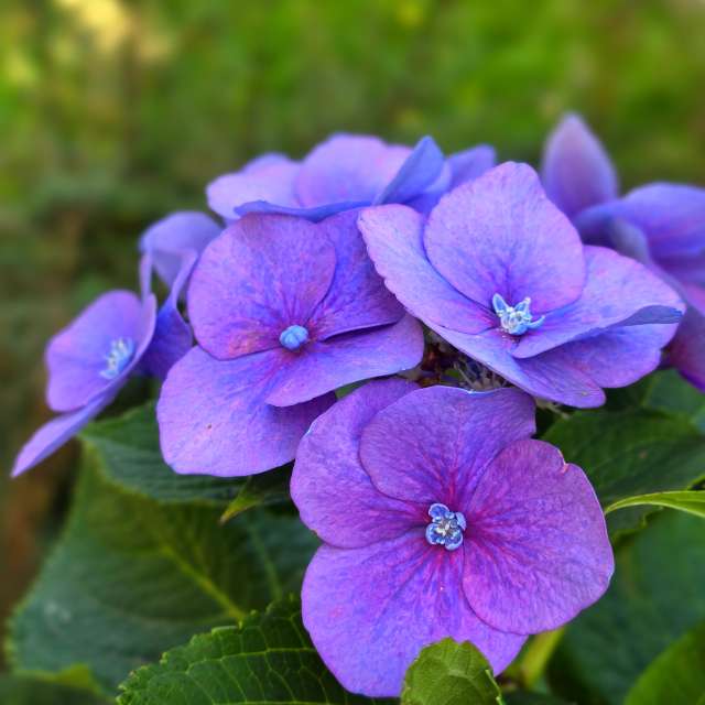 Seniの美しい写真による天気予報