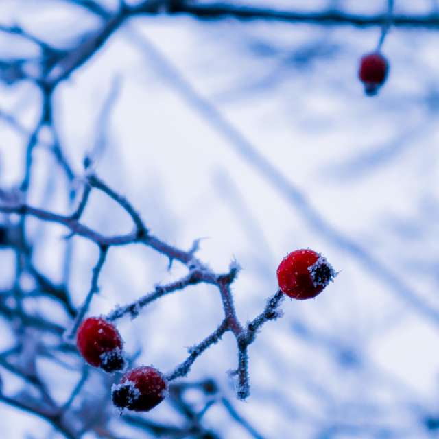 Weather forecasts with beautiful photos by _feela