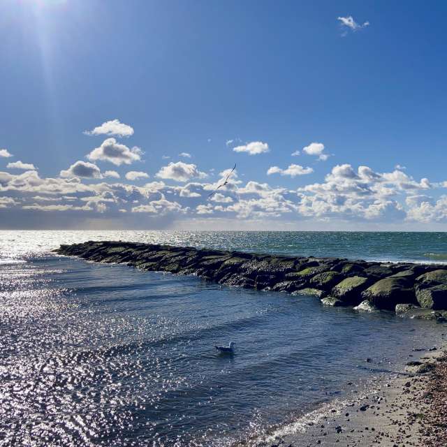 Pronósticos del tiempo con hermosas fotos de prairiesands