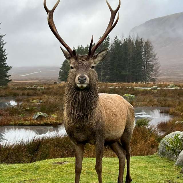 Pronósticos del tiempo con hermosas fotos de Fin71