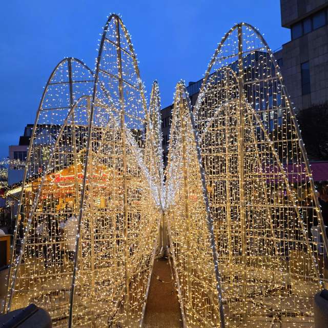 Seniの美しい写真による天気予報