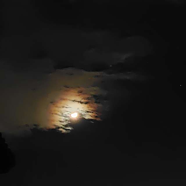 Weather forecasts with beautiful photos by umemui