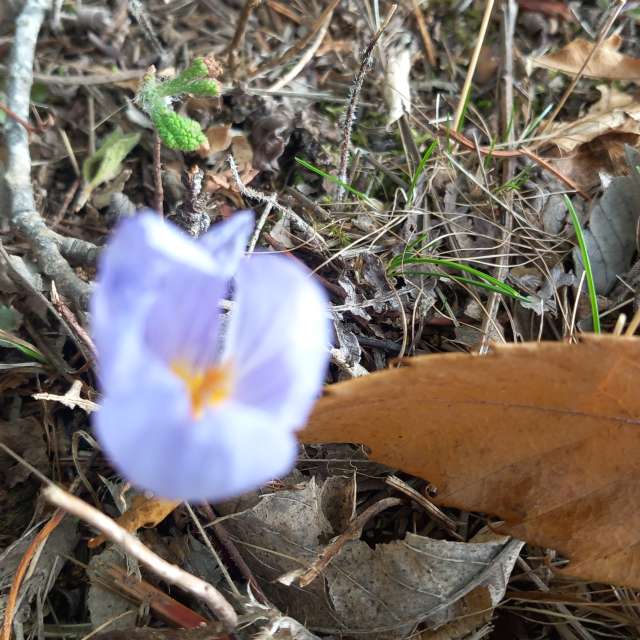 Eating. Weather forecasts with beautiful photos by Necdet Tilki Photos in World