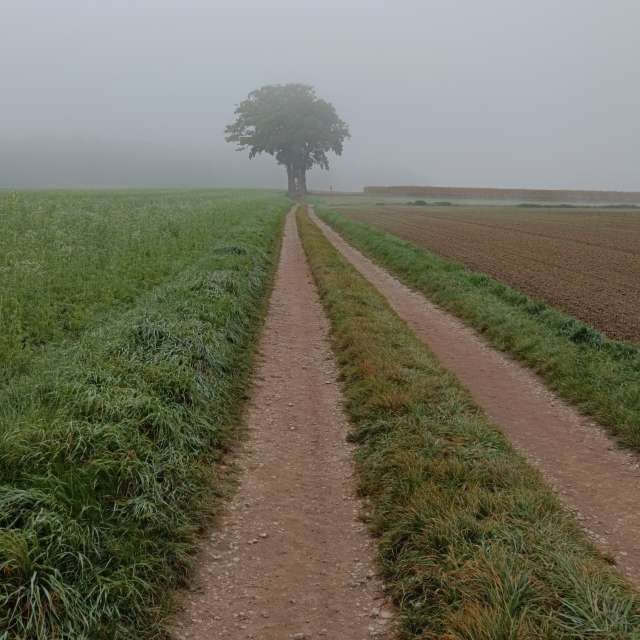 accoteの美しい写真による天気予報